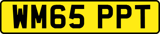 WM65PPT