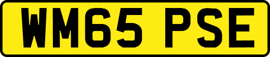 WM65PSE