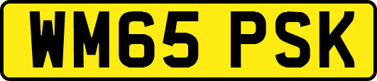 WM65PSK