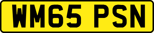 WM65PSN