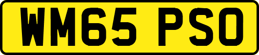 WM65PSO