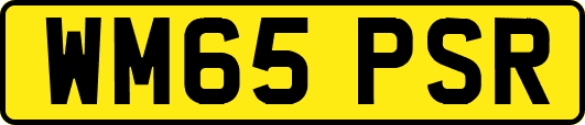 WM65PSR