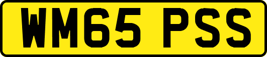 WM65PSS