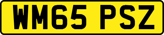WM65PSZ