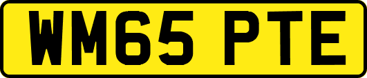 WM65PTE