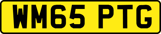 WM65PTG