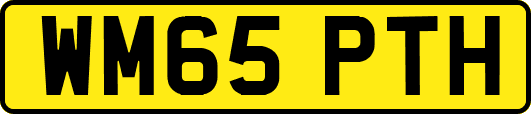 WM65PTH