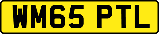 WM65PTL