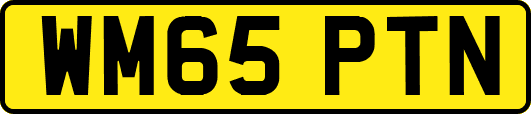 WM65PTN