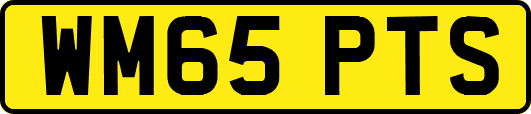 WM65PTS