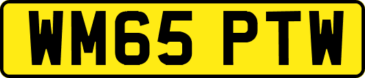 WM65PTW