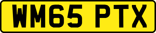 WM65PTX