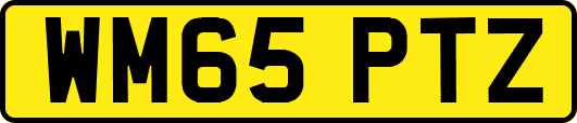 WM65PTZ