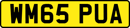 WM65PUA