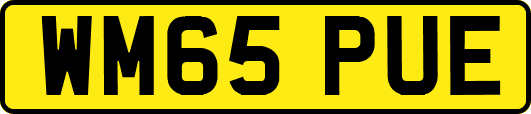 WM65PUE