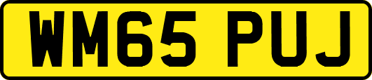 WM65PUJ