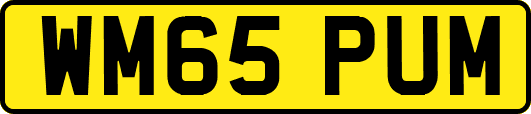 WM65PUM