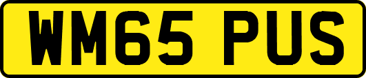 WM65PUS