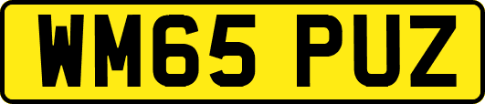 WM65PUZ