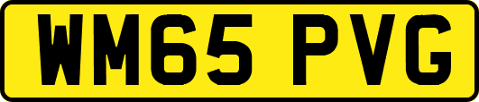 WM65PVG