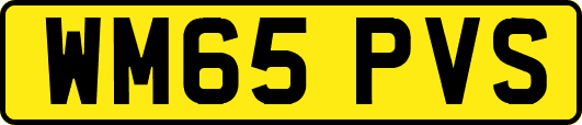 WM65PVS