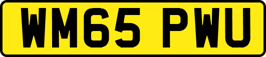 WM65PWU