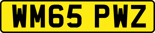 WM65PWZ
