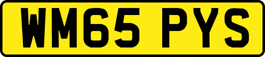 WM65PYS
