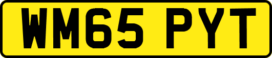 WM65PYT
