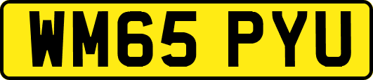 WM65PYU