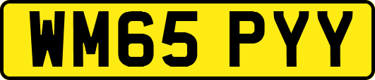 WM65PYY