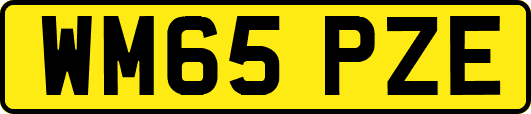 WM65PZE