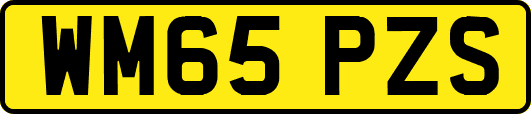 WM65PZS
