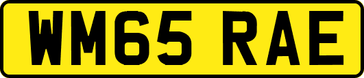WM65RAE