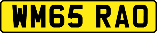 WM65RAO