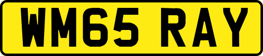 WM65RAY