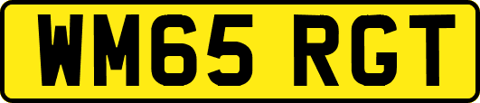 WM65RGT