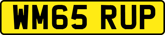 WM65RUP