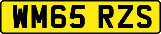 WM65RZS