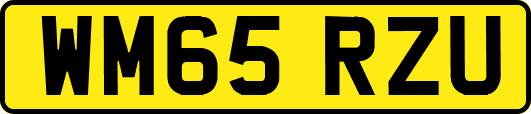 WM65RZU
