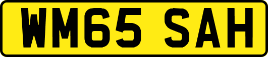 WM65SAH