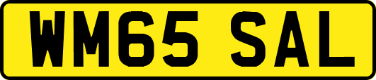 WM65SAL