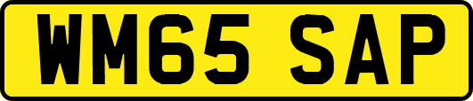 WM65SAP