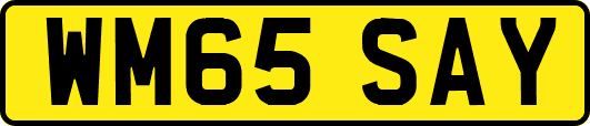 WM65SAY