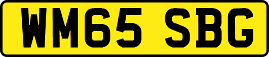 WM65SBG