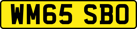 WM65SBO