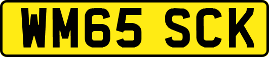 WM65SCK