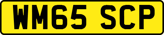 WM65SCP
