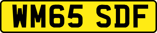 WM65SDF