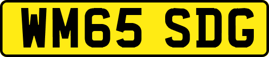 WM65SDG